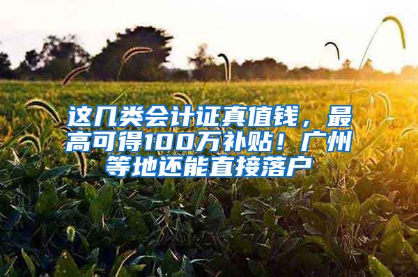 这几类会计证真值钱，最高可得100万补贴！广州等地还能直接落户