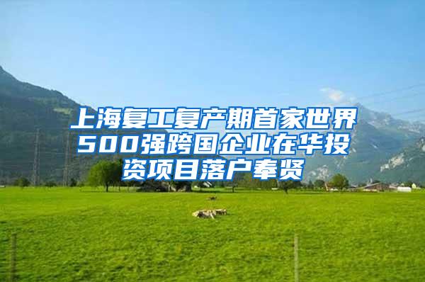 上海复工复产期首家世界500强跨国企业在华投资项目落户奉贤