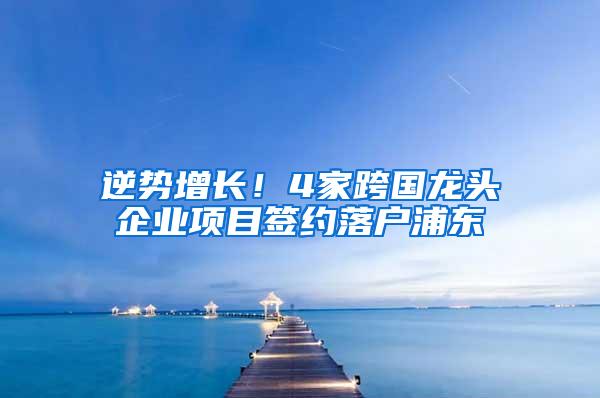 逆势增长！4家跨国龙头企业项目签约落户浦东