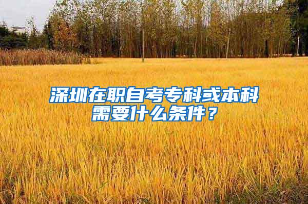 深圳在职自考专科或本科需要什么条件？