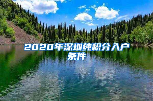 2020年深圳纯积分入户条件