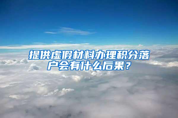 提供虚假材料办理积分落户会有什么后果？