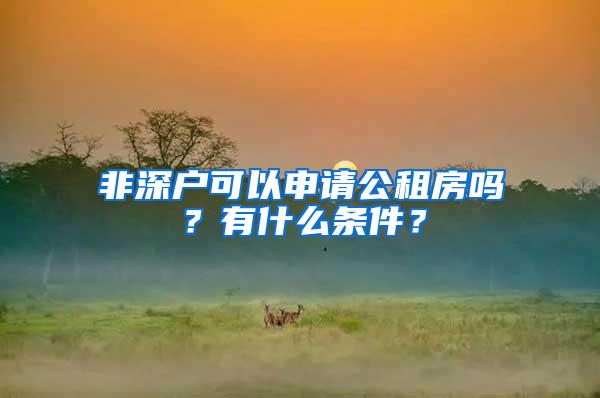 非深户可以申请公租房吗？有什么条件？