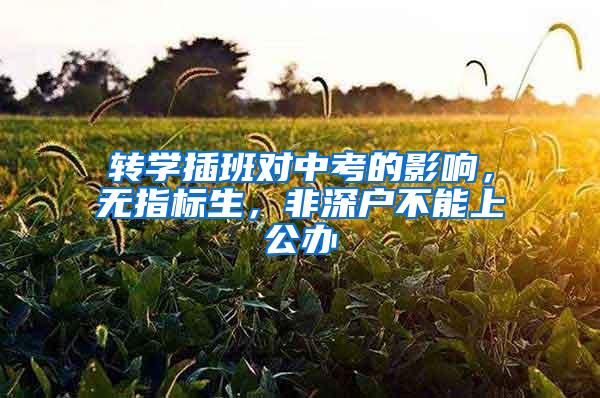 转学插班对中考的影响，无指标生，非深户不能上公办