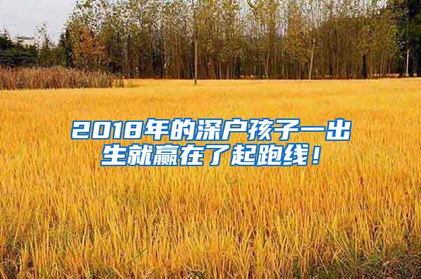 2018年的深户孩子一出生就赢在了起跑线！