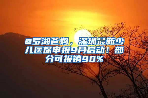 @罗湖爸妈，深圳最新少儿医保申报9月启动！部分可报销90%