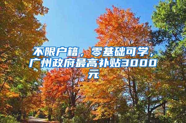 不限户籍，零基础可学，广州政府最高补贴3000元