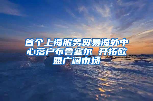 首个上海服务贸易海外中心落户布鲁塞尔 开拓欧盟广阔市场