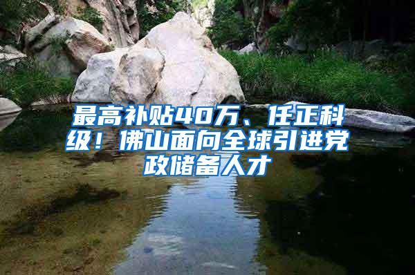 最高补贴40万、任正科级！佛山面向全球引进党政储备人才