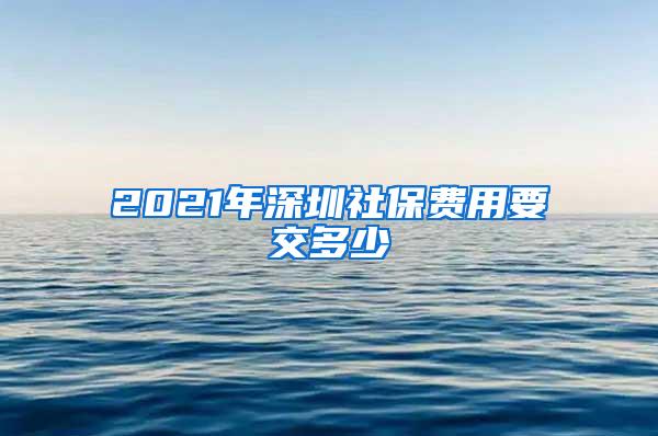 2021年深圳社保费用要交多少