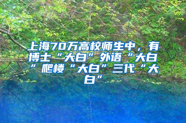 上海70万高校师生中，有博士“大白”外语“大白”爬楼“大白”三代“大白”