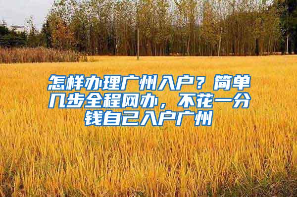 怎样办理广州入户？简单几步全程网办，不花一分钱自己入户广州