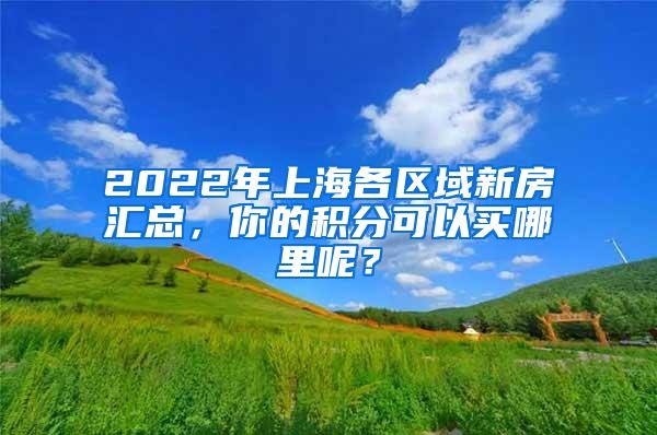 2022年上海各区域新房汇总，你的积分可以买哪里呢？