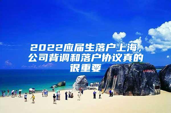 2022应届生落户上海，公司背调和落户协议真的很重要