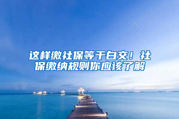 这样缴社保等于白交！社保缴纳规则你应该了解