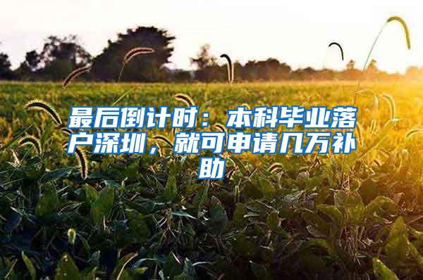 最后倒计时：本科毕业落户深圳，就可申请几万补助