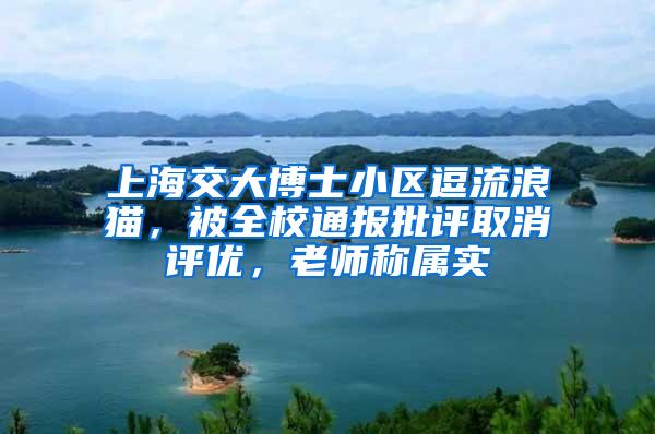 上海交大博士小区逗流浪猫，被全校通报批评取消评优，老师称属实