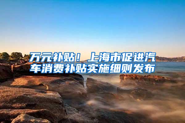 万元补贴！上海市促进汽车消费补贴实施细则发布