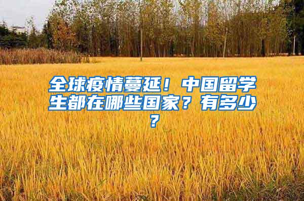 全球疫情蔓延！中国留学生都在哪些国家？有多少？