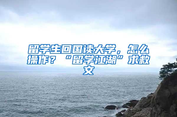 留学生回国读大学，怎么操作？“留学江湖”求救文