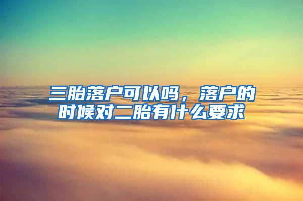 三胎落户可以吗，落户的时候对二胎有什么要求