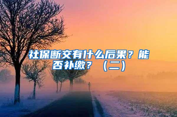 社保断交有什么后果？能否补缴？（二）