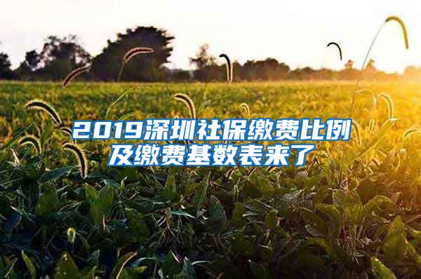 2019深圳社保缴费比例及缴费基数表来了