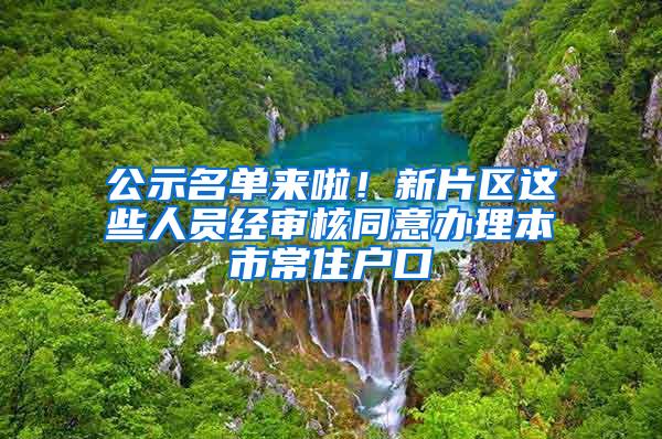 公示名单来啦！新片区这些人员经审核同意办理本市常住户口