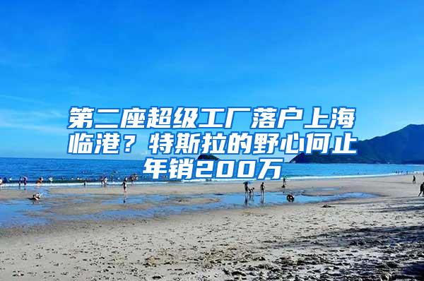 第二座超级工厂落户上海临港？特斯拉的野心何止年销200万