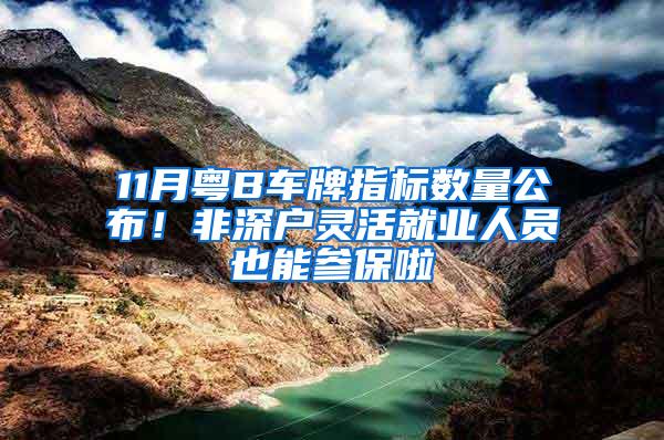 11月粤B车牌指标数量公布！非深户灵活就业人员也能参保啦