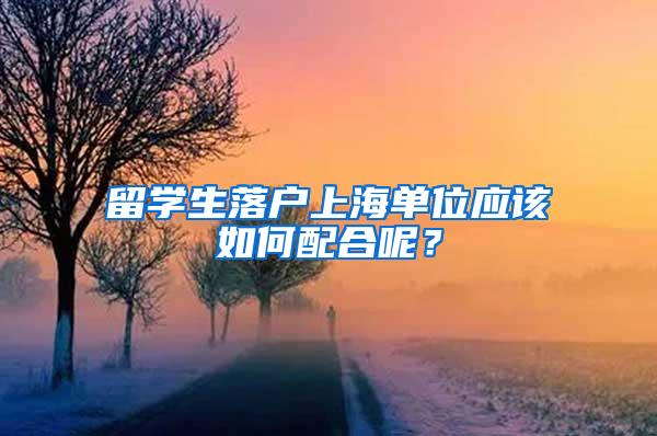 留学生落户上海单位应该如何配合呢？