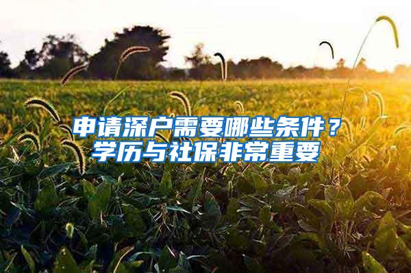 申请深户需要哪些条件？学历与社保非常重要