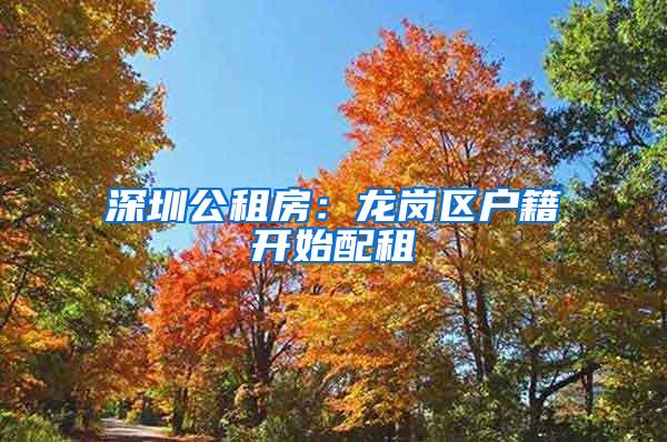 深圳公租房：龙岗区户籍开始配租