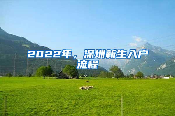 2022年，深圳新生入户流程