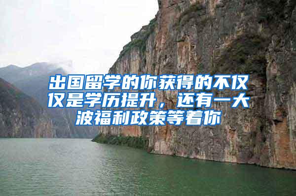 出国留学的你获得的不仅仅是学历提升，还有一大波福利政策等着你