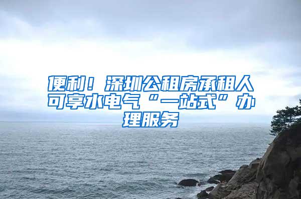 便利！深圳公租房承租人可享水电气“一站式”办理服务