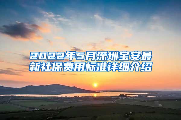 2022年5月深圳宝安最新社保费用标准详细介绍