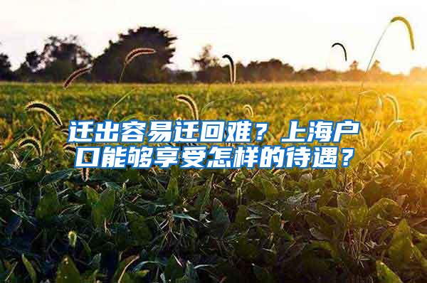 迁出容易迁回难？上海户口能够享受怎样的待遇？