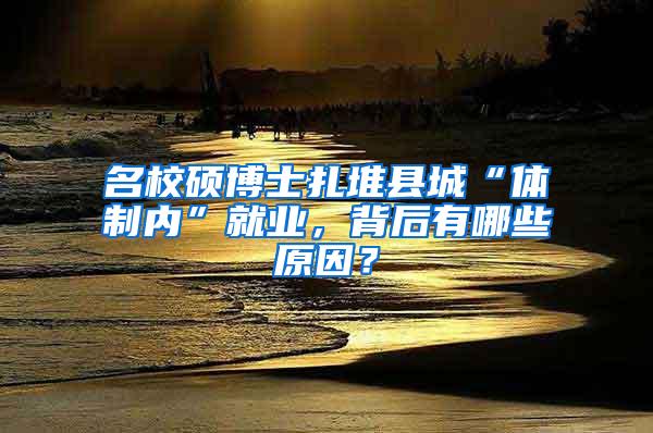 名校硕博士扎堆县城“体制内”就业，背后有哪些原因？