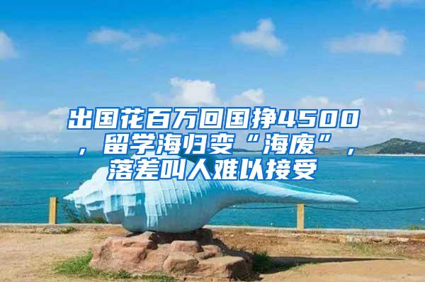 出国花百万回国挣4500，留学海归变“海废”，落差叫人难以接受