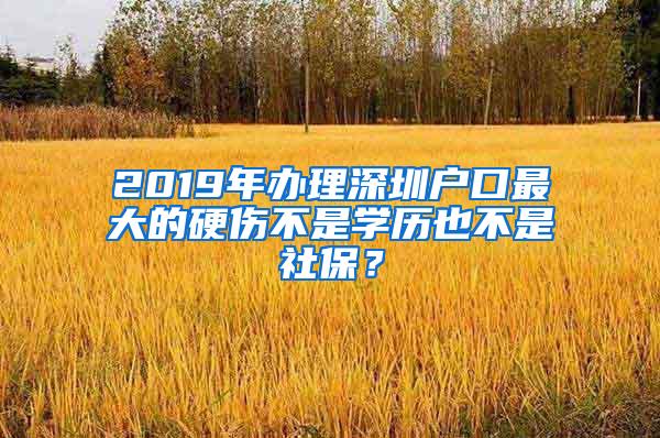 2019年办理深圳户口最大的硬伤不是学历也不是社保？