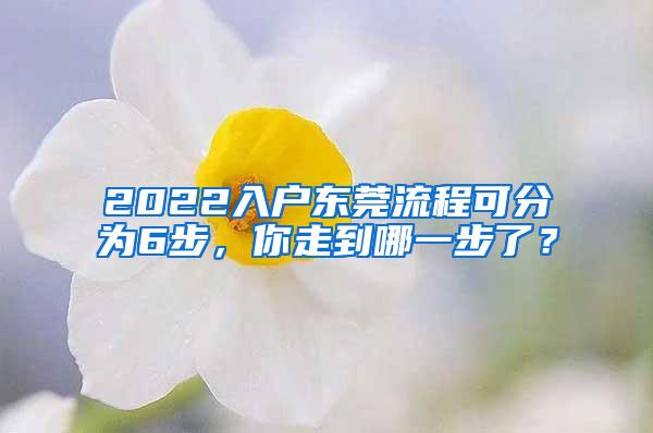 2022入户东莞流程可分为6步，你走到哪一步了？