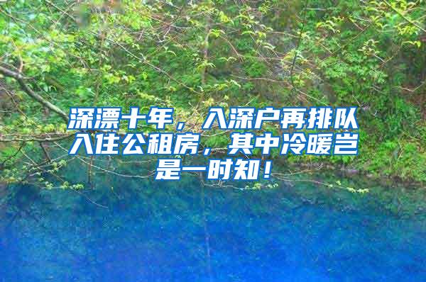 深漂十年，入深户再排队入住公租房，其中冷暖岂是一时知！