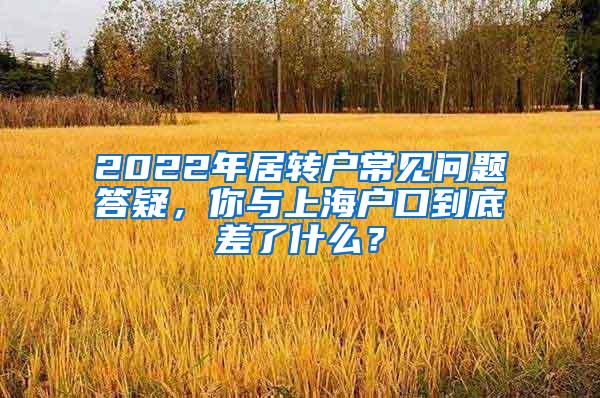 2022年居转户常见问题答疑，你与上海户口到底差了什么？