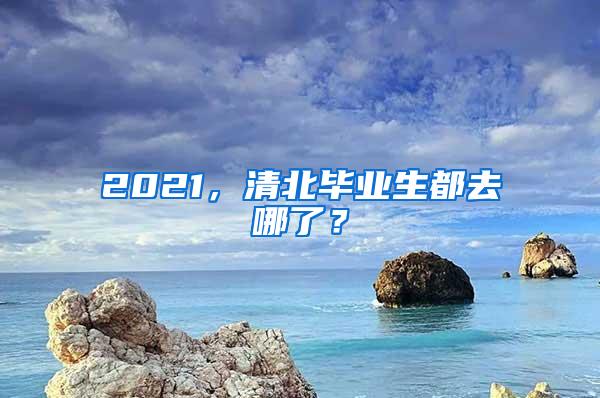 2021，清北毕业生都去哪了？