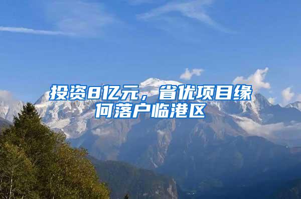 投资8亿元，省优项目缘何落户临港区