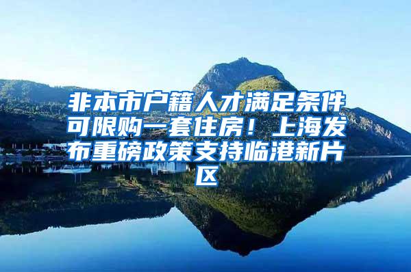 非本市户籍人才满足条件可限购一套住房！上海发布重磅政策支持临港新片区
