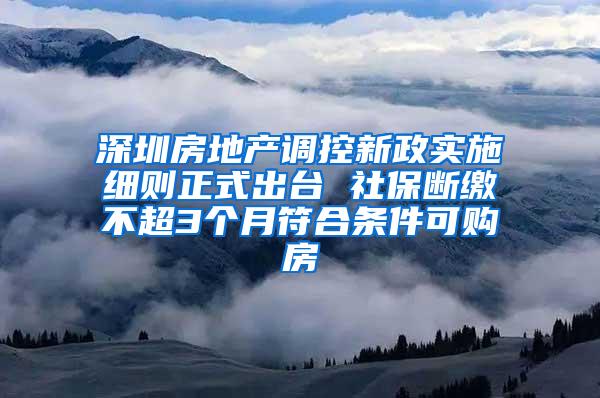 深圳房地产调控新政实施细则正式出台 社保断缴不超3个月符合条件可购房