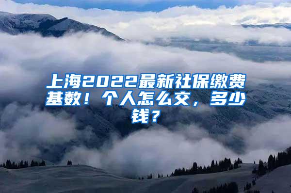 上海2022最新社保缴费基数！个人怎么交，多少钱？