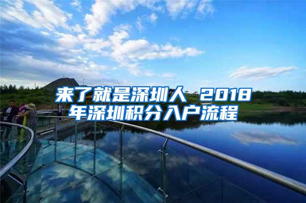 来了就是深圳人 2018年深圳积分入户流程